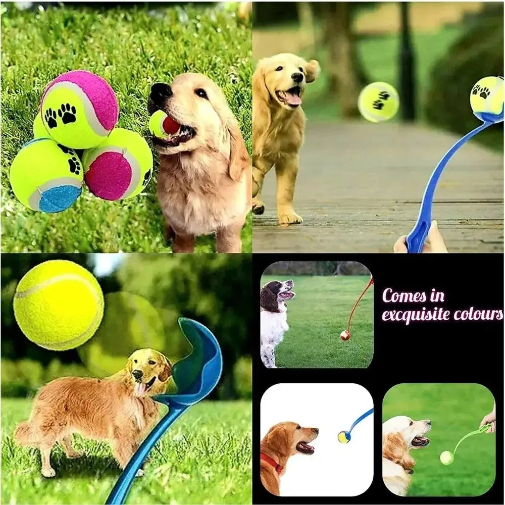 Pet Throwing Stick Dog Hand Throwing Ball Toys Pet Tennis Launcher Pole Outdoor Activities Dogs Training Toys Pet Supplies